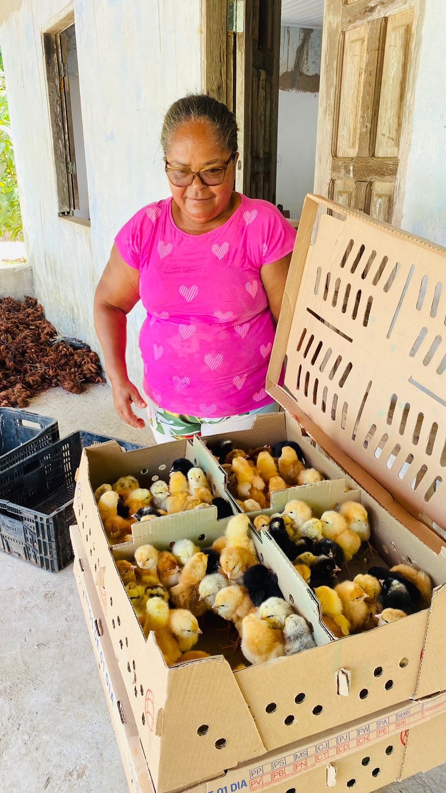 Programa de Criação de Pequenos Animais entrega 600 aves e beneficia 60 famílias na zona rural