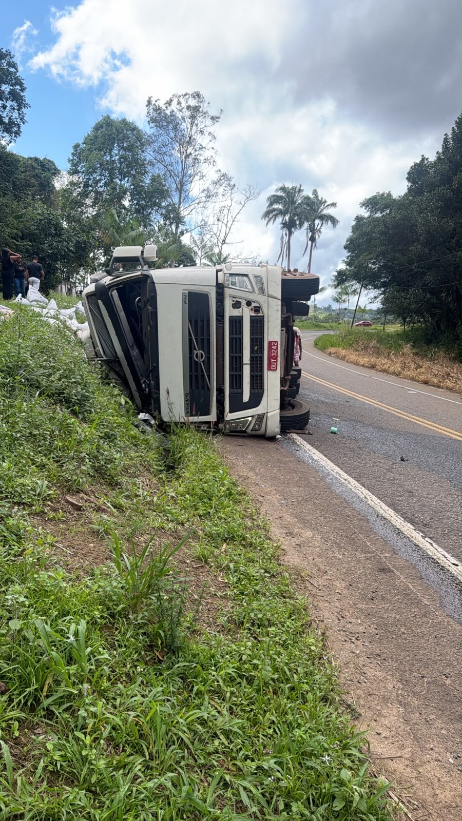 Carreta carregada de cravo-da-índia tomba na BA-542, em Valença