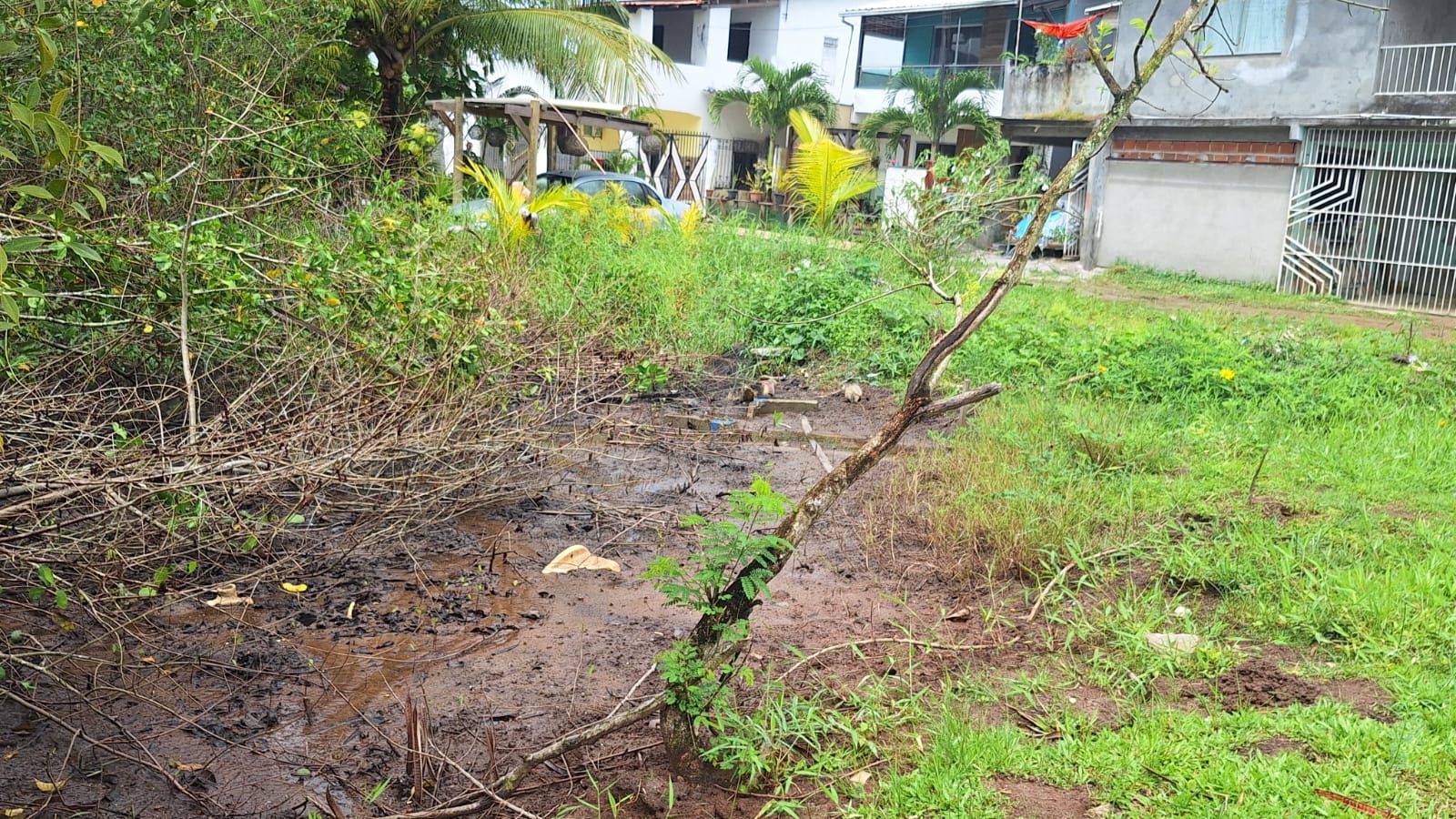 Prefeitura de Valença faz vistoria em área de manguezal na Rua Maestro Barrinha, na Graça