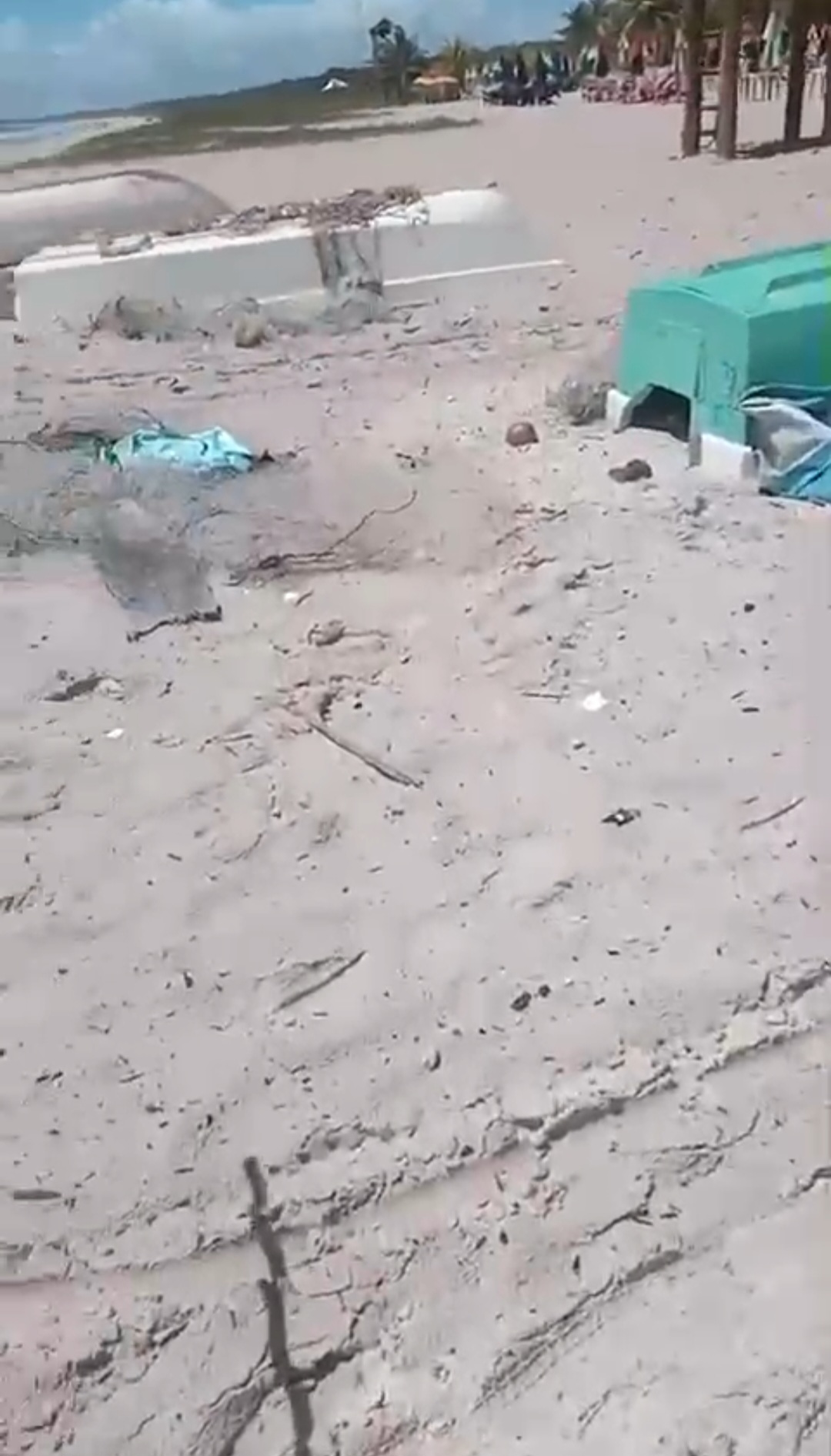 Funcionários da empresa Sierra Ambiental, Chamam atenção da falta de organização dos pescadores da Praia de Guaibim