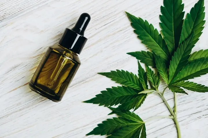 Maconha liberada? Novas regras da Anvisa facilitam acesso à Cannabis Medicinal no Brasil; veja o que mudou