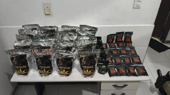 K9 sintético e haxixe são apreendidos com mulher em operação da PRE durante abordagem em Tanhaçu