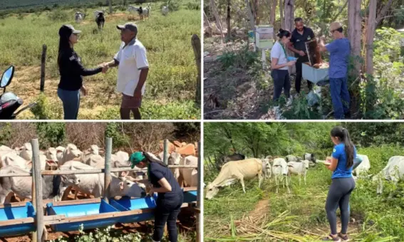 Agricultores de Tanhaçu recebem acompanhamento e apoio técnico no campo