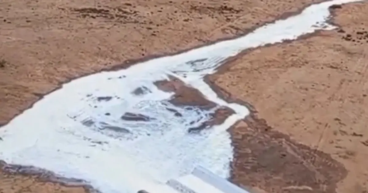 Produtor derrama 2 mil litros de leite em protesto contra condições de estrada vicinal no Oeste baiano