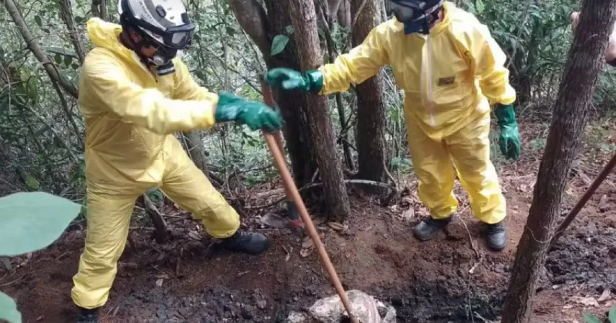 Ossadas humanas são encontradas em área de mata na Bahia; polícia investiga ligação com "tribunal do crime"