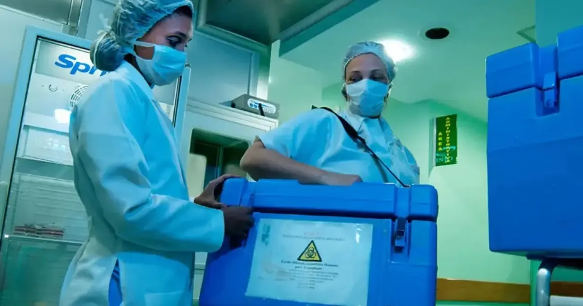 Primeiro transplante de pulmão duplo robótico é realizado nos EUA