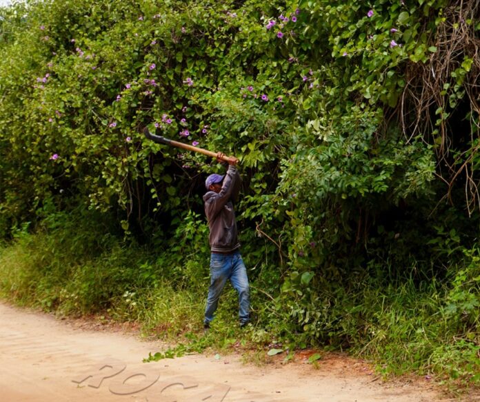 Prefeitura de Caraíbas intensifica roçadas e reforça segurança nas estradas do município